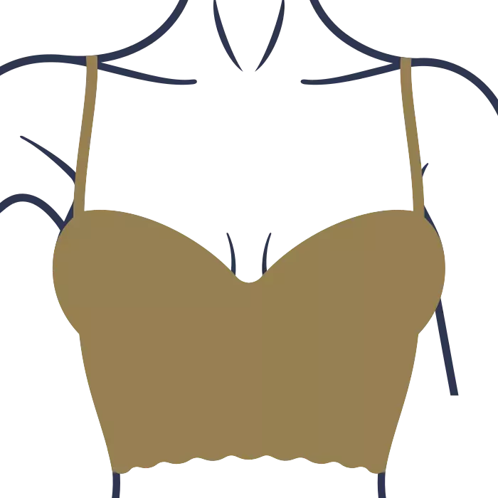 afbeelding van een bustier